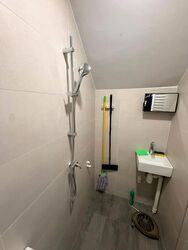 Loft @ Rangoon (D8), Apartment #592743151